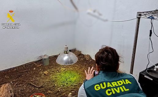 A female police officer in an animal enclosure photographing several endangered tortoise