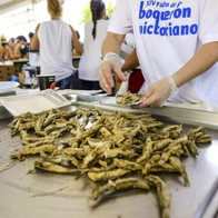 Fried anchovies, a Malaga delicacy