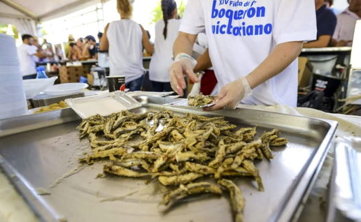 Fried anchovies, a Malaga delicacy