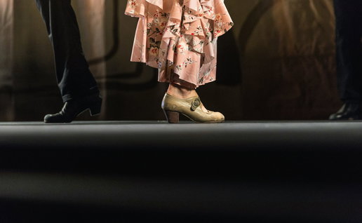 Flamenco dancing.