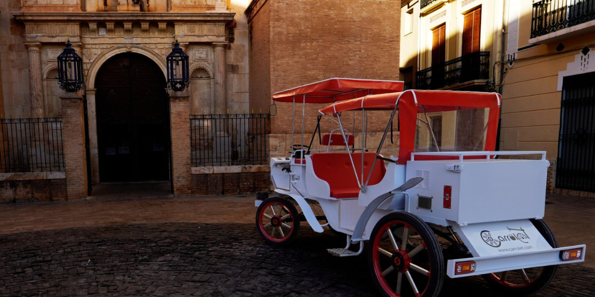 Palma horse carriage prototype