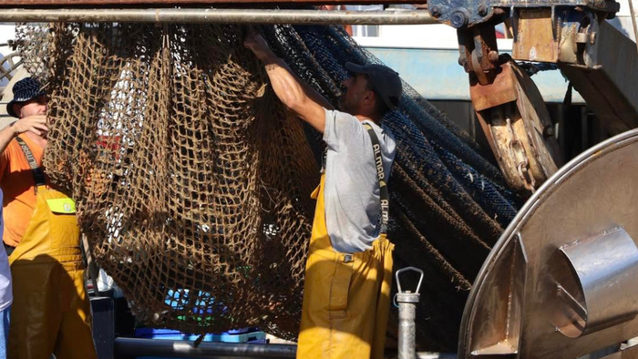 Villajoyosa fishermen warn rising fuel costs are making fishing unsustainable