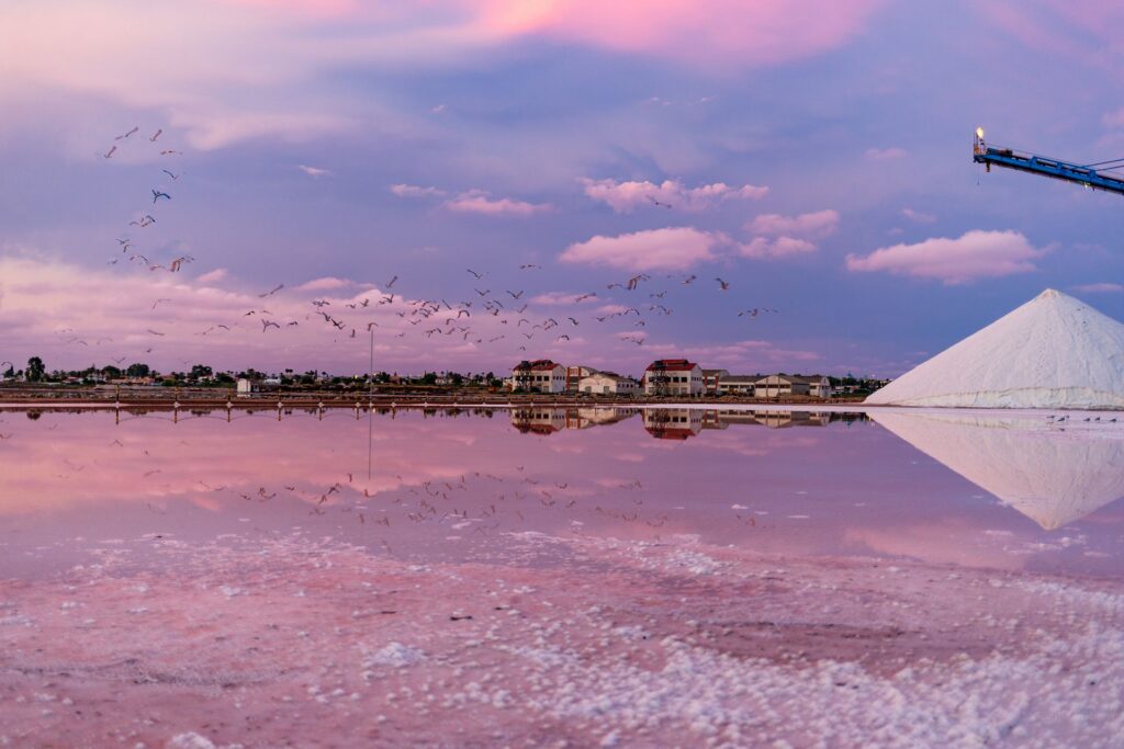 Torrevieja prepares to harvest 500,000 tonnes of salt from famous pink lagoon