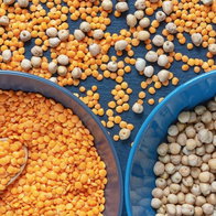 lentils and chickpeas