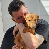 4,500-kilometre journey across Europe to help some of the dogs most in need of a home.