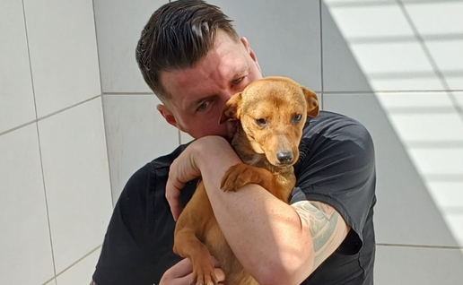 4,500-kilometre journey across Europe to help some of the dogs most in need of a home.
