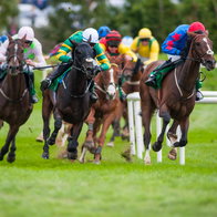 Races horses with their jockeys galloping close together on the turf.