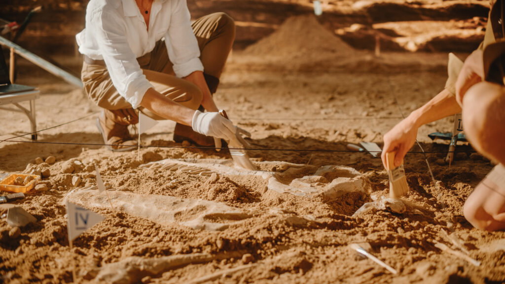 This dinosaur was only supposed to exist in North America — so why is it in Spain?