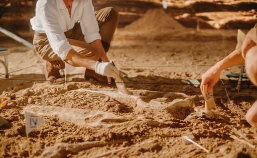 Palaeontologists working in the field on a dinosaur fossil