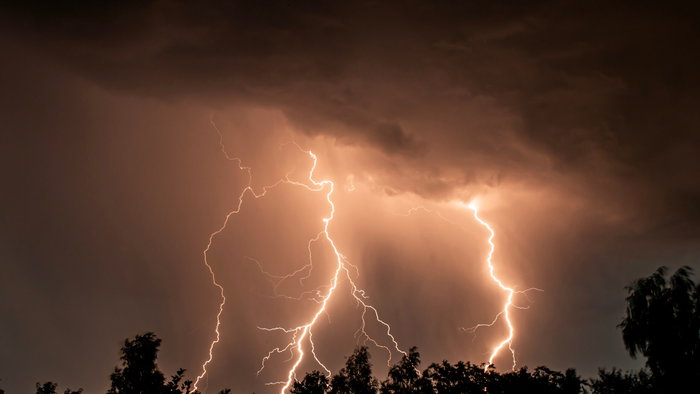 Lightning bolts fall on a forest at night