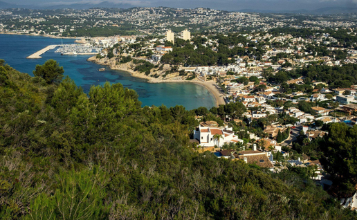€60,000 for woodland near Cap d’Or