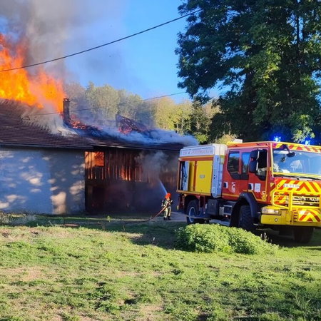 10-year-old jumps from burning French farmhouse, saves two dogs and teddy