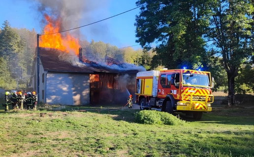 10-year-old jumps from burning French farmhouse, saves two dogs and teddy
