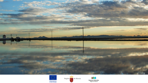 Free guided walk explores Salinas de San Pedro del Pinatar