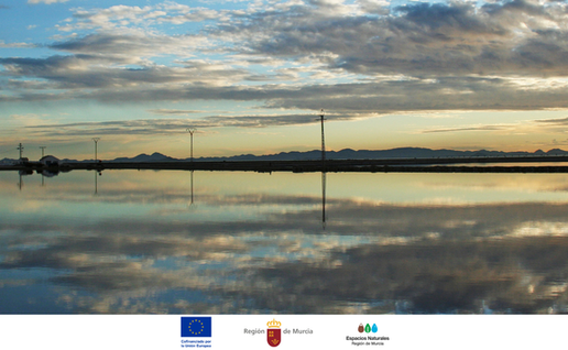 Free guided walk explores Salinas de San Pedro del Pinatar