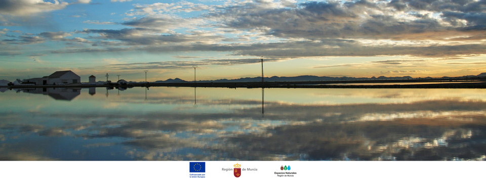 Free guided walk explores Salinas de San Pedro del Pinatar