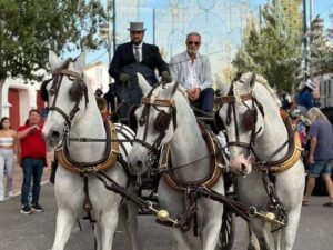horses