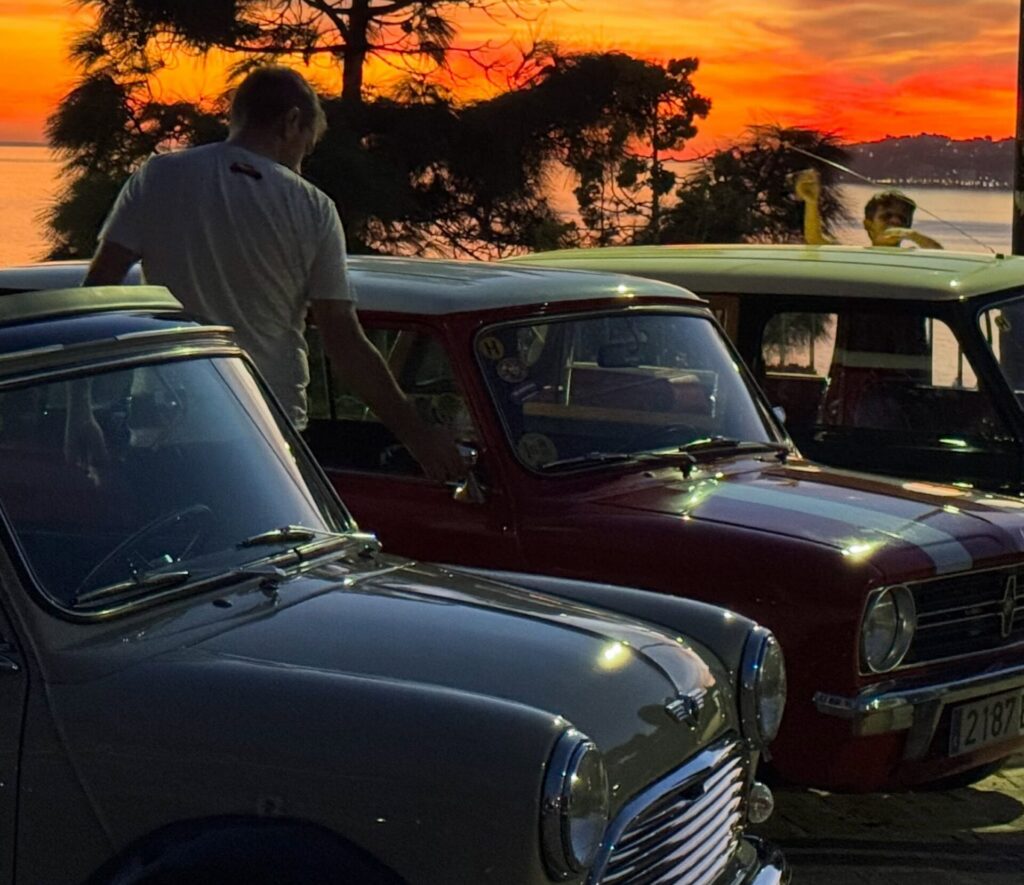 Minis at sunset