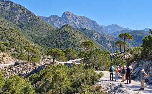 Field Club of Fuengirola out in the beauty of Malaga Province.