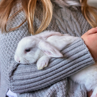 Woman in a grey sweater hugs a rabbit