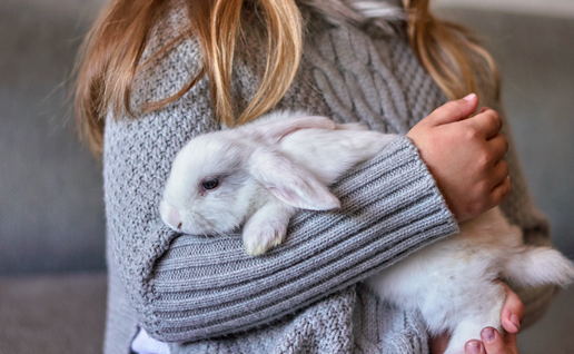 Woman in a grey sweater hugs a rabbit