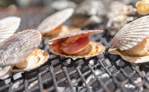 Clams cooking on a Japanese style BBQ