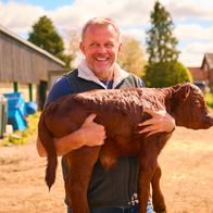 A farmer holding a brown day old calf