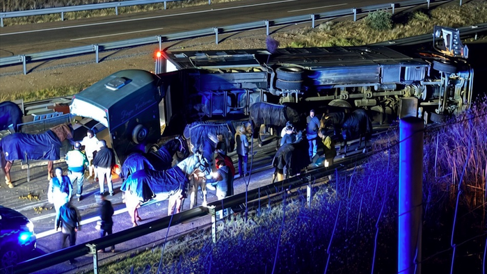 Nighttime highway accident scene showing an overturned black horse trailer on its side next to a road, with several horses (some in blue blankets), a group of people assisting, emergency lighting, guardrails, and a chain-link fence in the foreground.
