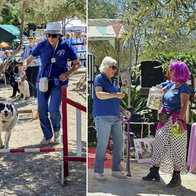 Fun and games at ARCH's Autumn fair.