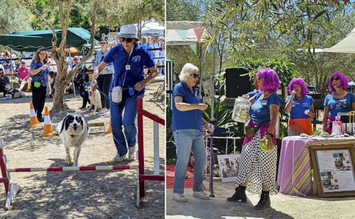 Fun and games at ARCH's Autumn fair.
