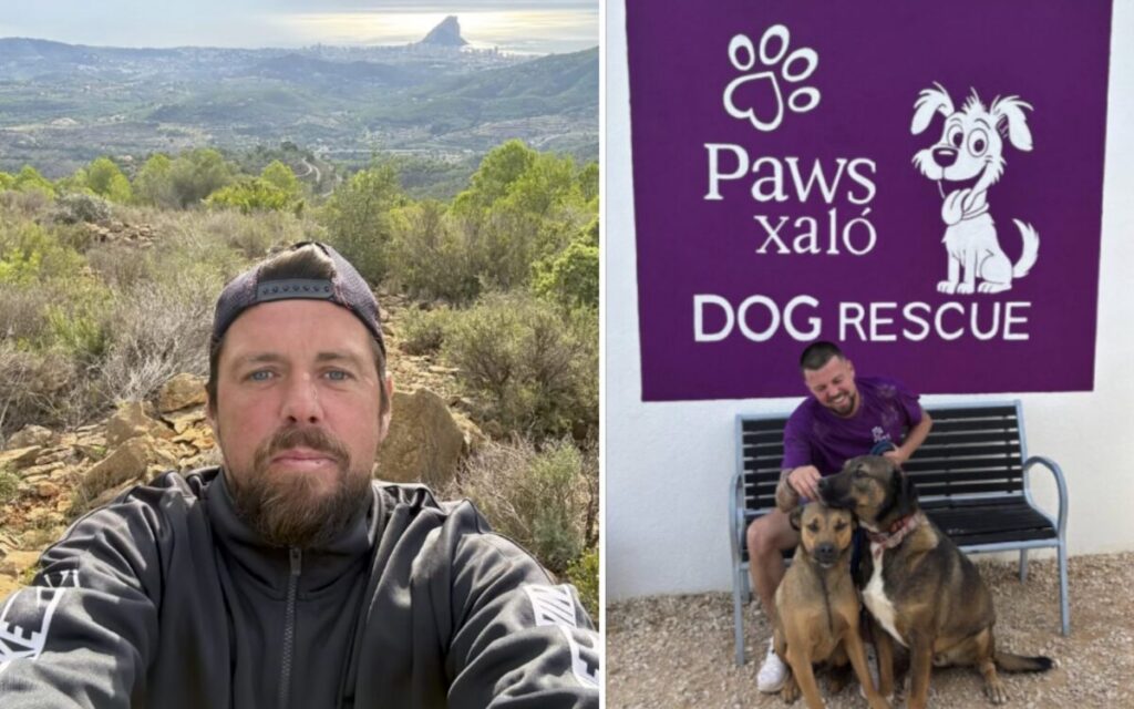 Running for paws: Spanish road accident delays 4,500km dog rescue mission