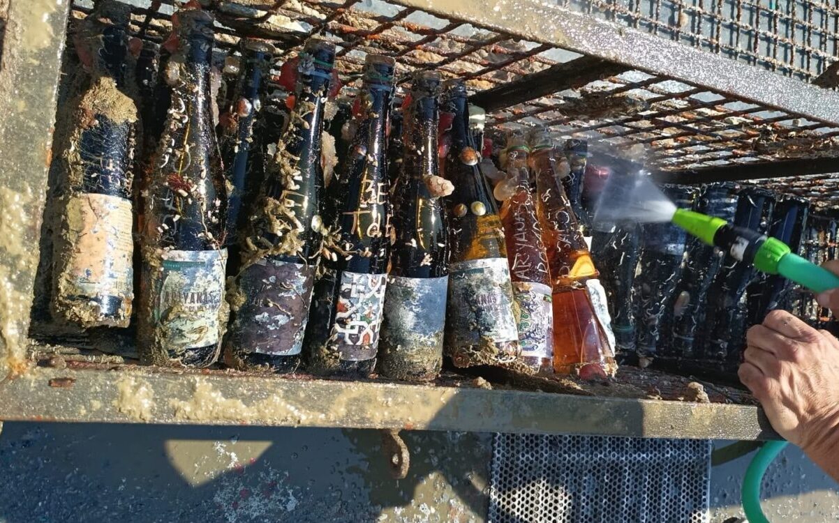 euroweeklynews.com - Adam Woodward - Underwater wine: Can Axarquia's sea produce better bottles?