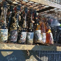 Bottle of wine that have been maturing under the seaa