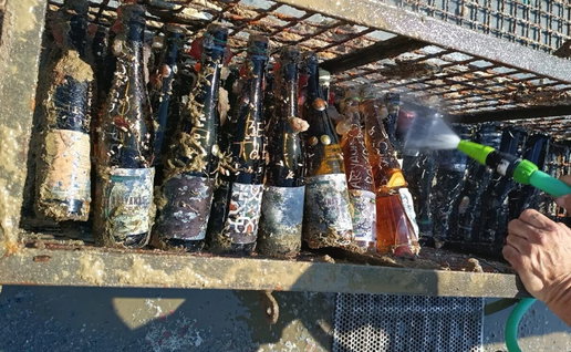 Bottle of wine that have been maturing under the seaa