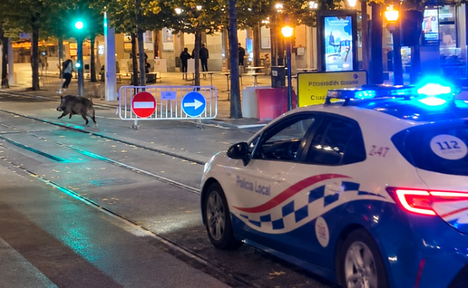High-speed pursuit in Zaragoza.