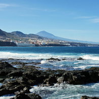 The coastline.