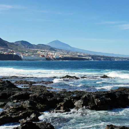 The coastline.