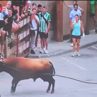 Tragedy at Spain’s bull event as young woman dies after being charged by bull