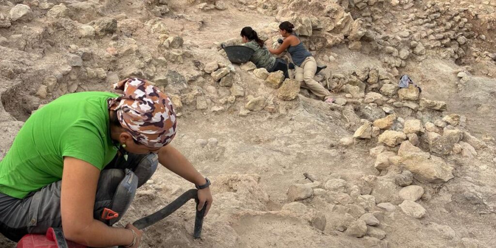 Aspe in brief: Record shopping vouchers and new Bronze Age discoveries