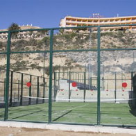 The courts.