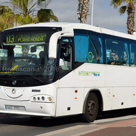 A white Intercity Bus Lanzarote coach showing line 03 to Puerto del Carmen and Playa Honda, driving along a palm-lined street with passengers visible at the windows.