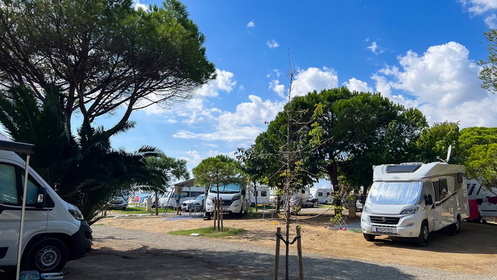 Motorhomes parked in a designated campsite surrounded by trees
