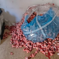Pile of raw meat scraps and bones on a floor next to chemical containers and a blue plastic bag, with Guardia Civil logo in the top left.