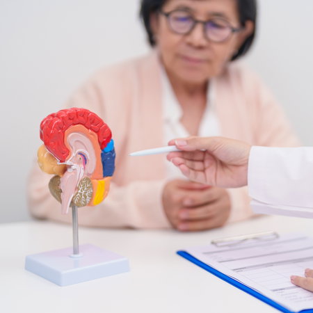 Elderly Patient consulting Doctor to Brain disease, Senior Health Medical Diagnosis.