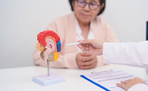 Elderly Patient consulting Doctor to Brain disease, Senior Health Medical Diagnosis.