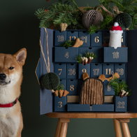 SAT Animal Rescue launches 2027 dog calendar to support animals in need.