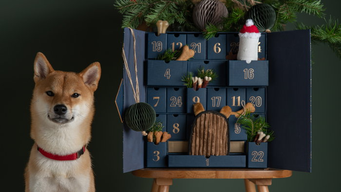SAT Animal Rescue launches 2027 dog calendar to support animals in need.