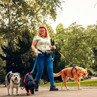 woman walking 3 dogs