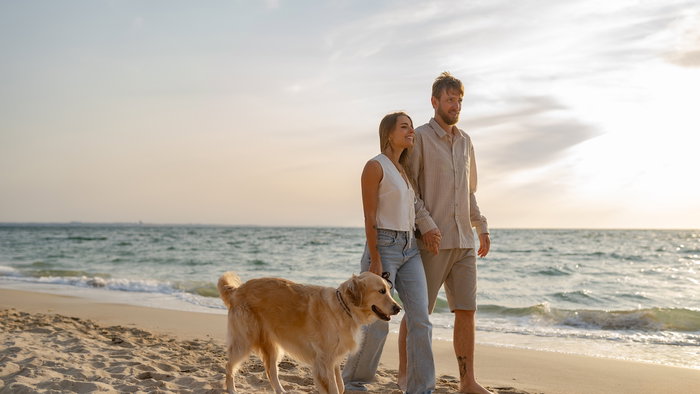 couple in love of young people man and woman walking on a beach playing with golden retriever dog smiling happy having fun together