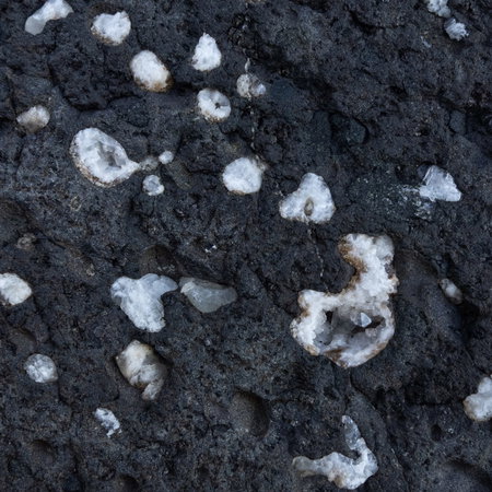 A,Close-up,Of,Dark,Vesicular,Volcanic,Rock,Matrix,Filled,With